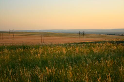 Free Stock Photo of summer scene