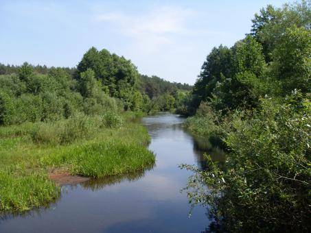 Free Stock Photo of River