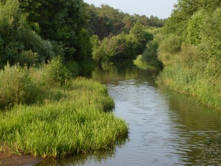 Free Stock Photo of River