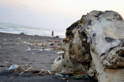 Free Stock Photo of Dirty Beach