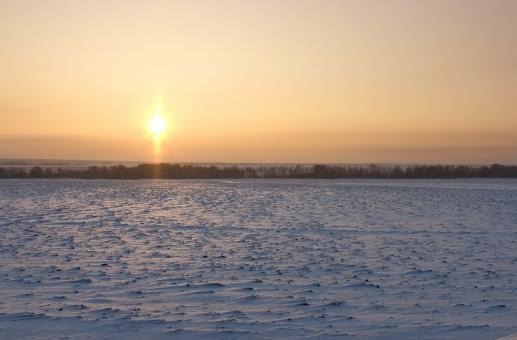 Free Stock Photo of winter scene