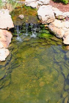 Free Stock Photo of Stream