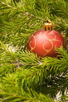 Free Stock Photo of christmas decoration