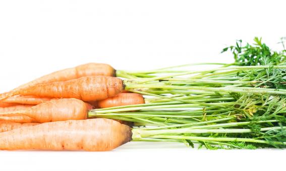 Free Stock Photo of Carrot