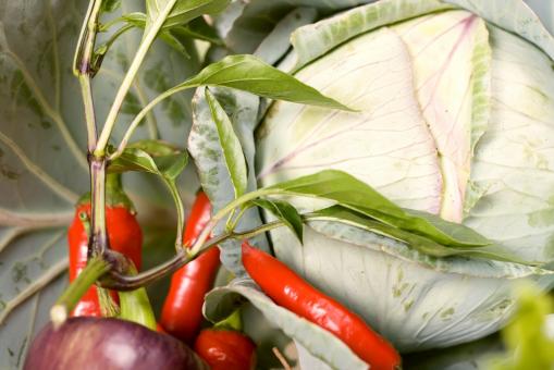 Free Stock Photo of fresh vegetable