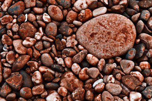 Free Stock Photo of Seabed Rocks Texture