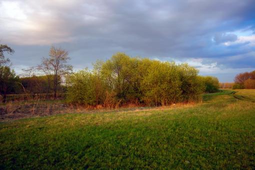 Free Stock Photo of meadow at sunset