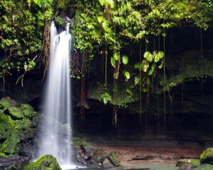 Free Stock Photo of  Waterfall