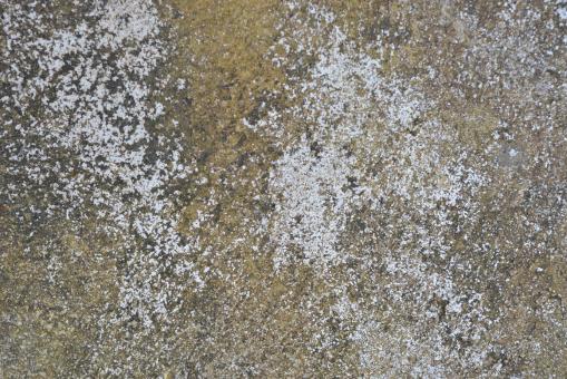 Free Stock Photo of Rough and hardcore wall texture