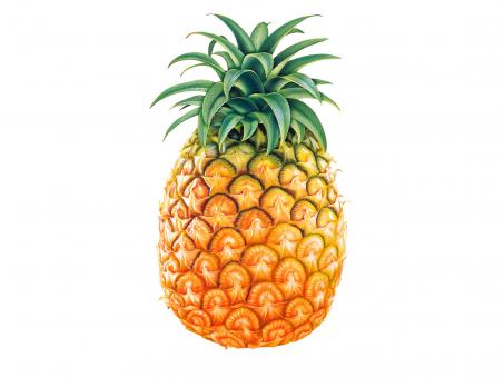 Free Stock Photo of Pineapple