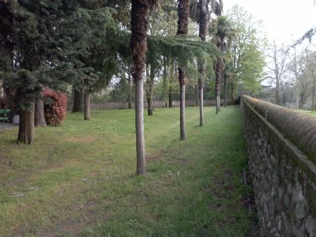 Free Stock Photo of Wall and trees