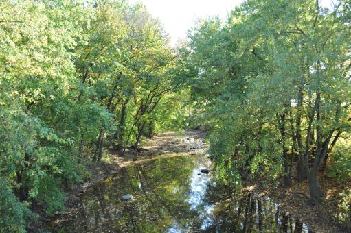 Free Stock Photo of Creek