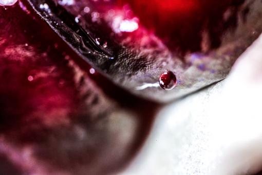 Free Stock Photo of Red Organic Background