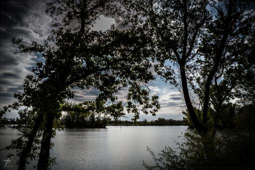 Free Stock Photo of Evening about the Lake