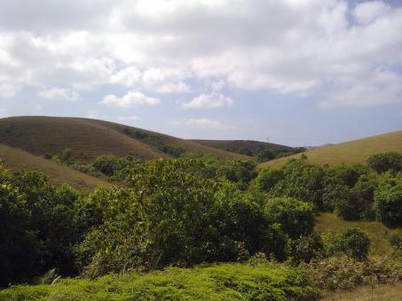 Free Stock Photo of Mottakunnu Landscape
