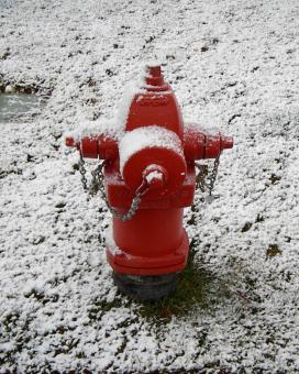 Free Stock Photo of Red, and White, and Cold All Over