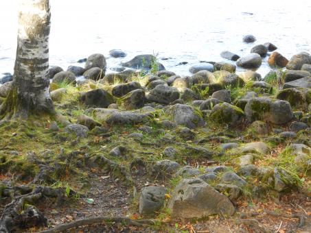 Free Stock Photo of stones