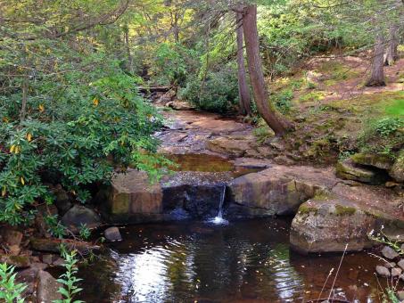Free Stock Photo of Peaceful Haven