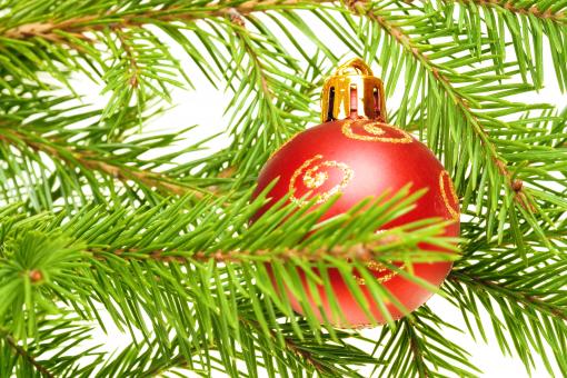 Free Stock Photo of Christmas decoration