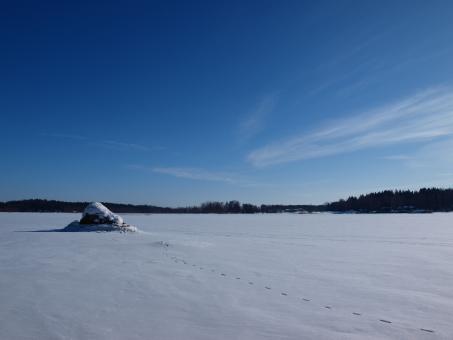 Free Stock Photo of Winter Landscape