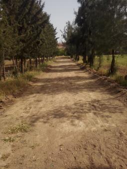 Free Stock Photo of Farm Route