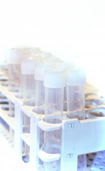 Free Stock Photo of Tube Rack