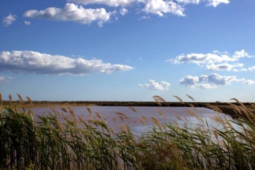 Free Stock Photo of Lake and sky