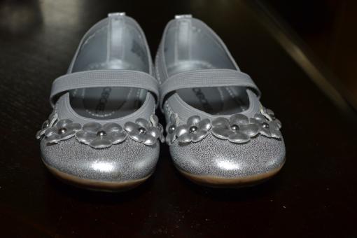 Free Stock Photo of Little Silver Slippers