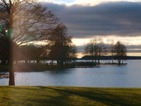 Free Stock Photo of Park