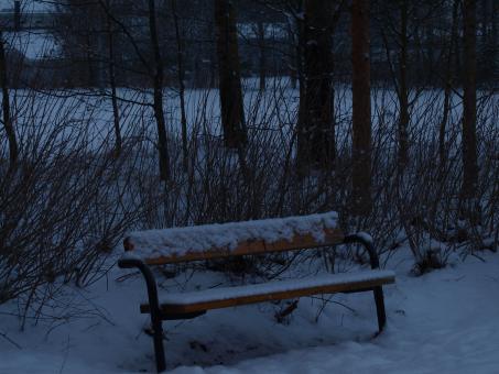Free Stock Photo of First snow