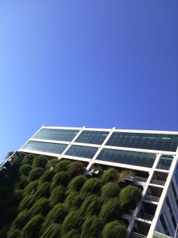 Free Stock Photo of Building facade with hanging garden plants