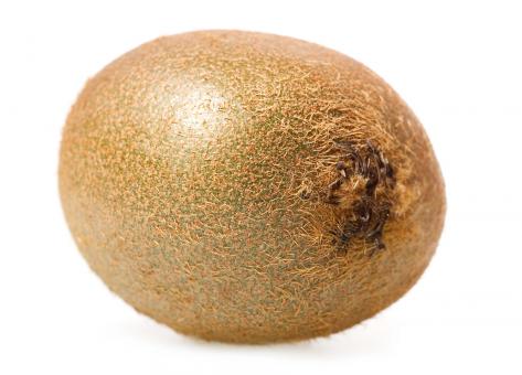Free Stock Photo of Kiwi