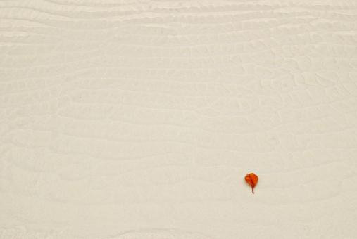 Free Stock Photo of Alone