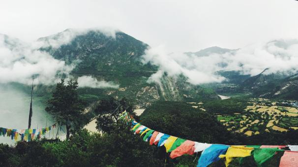 Free Stock Photo of Nature