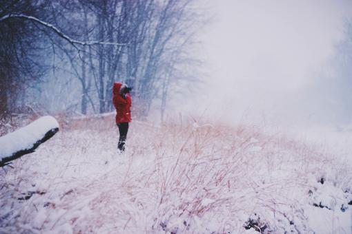 Free Stock Photo of Photographer