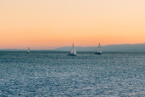 Free Stock Photo of Sail Boats