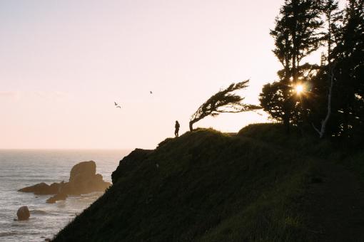 Free Stock Photo of Green