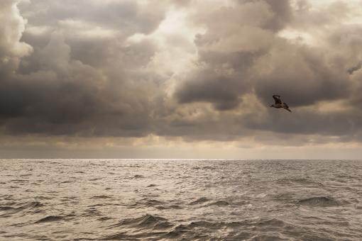 Free Stock Photo of Sea