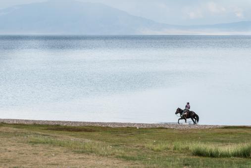 Free Stock Photo of Rider on the Shore