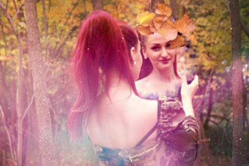 Free Stock Photo of Fairy Land