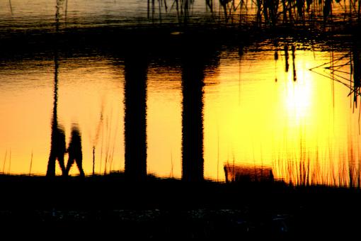 Free Stock Photo of Reflection