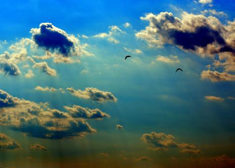 Free Stock Photo of Flying High