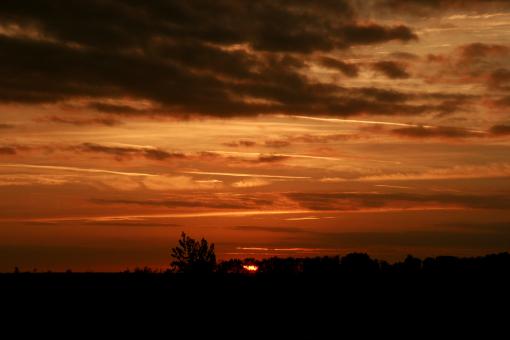 Free Stock Photo of Sunset