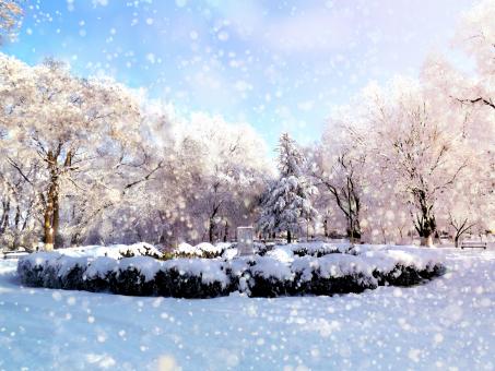 Free Stock Photo of Park
