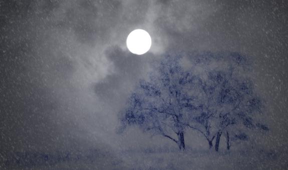 Free Stock Photo of Cold Night
