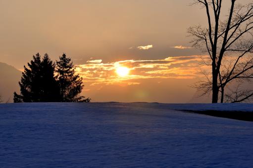 Free Stock Photo of Winter