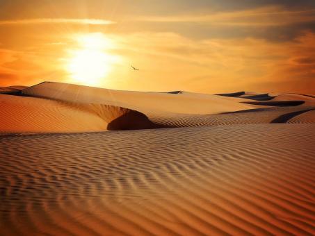 Free Stock Photo of Desert