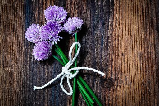 Free Stock Photo of Chives
