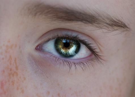Free Stock Photo of Closeup