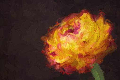 Free Stock Photo of Painting of Flower